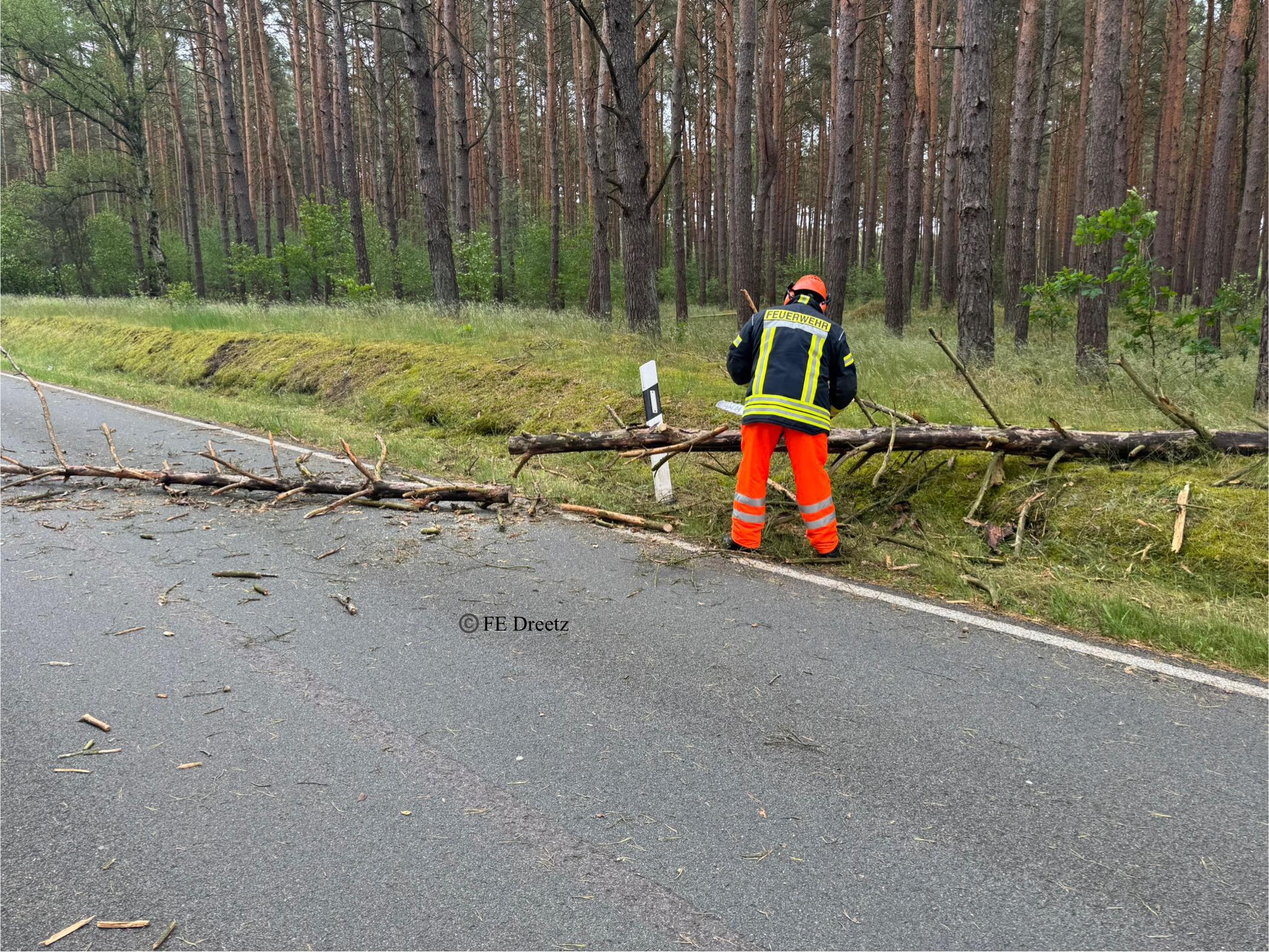 Mit der Motorkettensäge wurde der umgestürzte Baum in kleine Stücke geschnitten. 