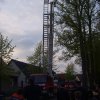 Maibaumfest 2010