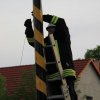 Maibaumfest 2012