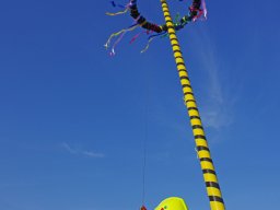 Tag der offenen Tür und Maibaumfest 2024