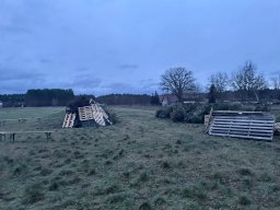 Weihnachtsbaumverbrennung 2023